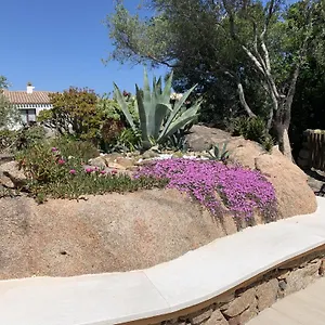Casa vacanze L'olivastro, Porto Cervo